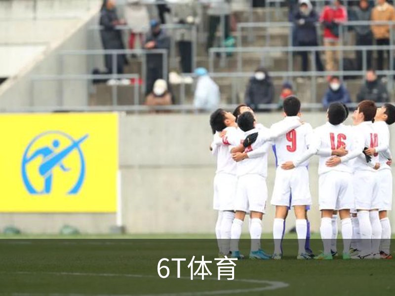 了解6T体育